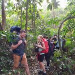 From Ninh Binh: Discover Cuc Phuong National Park Day Tour Small Group