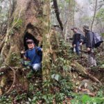 Pu Luong Full Day Trekking Small Group Guide Tour